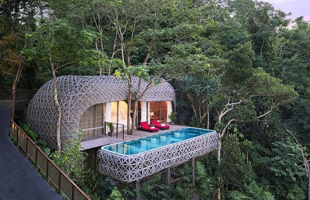 tree house with swimming pool